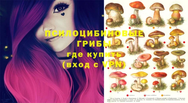 кокс Абдулино