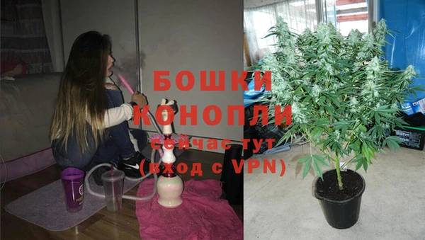 дмт Покачи
